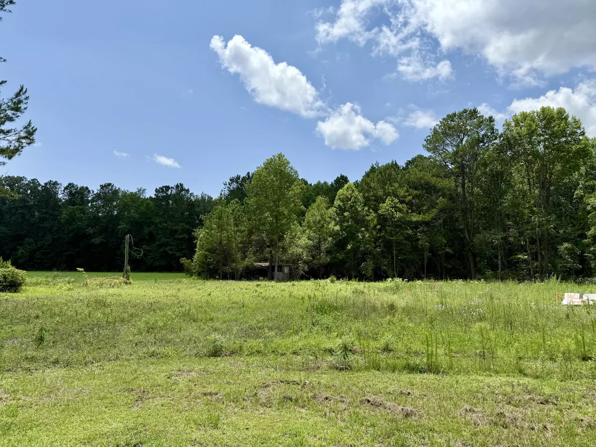 Bonneau, SC 29431,149 Donald Ln