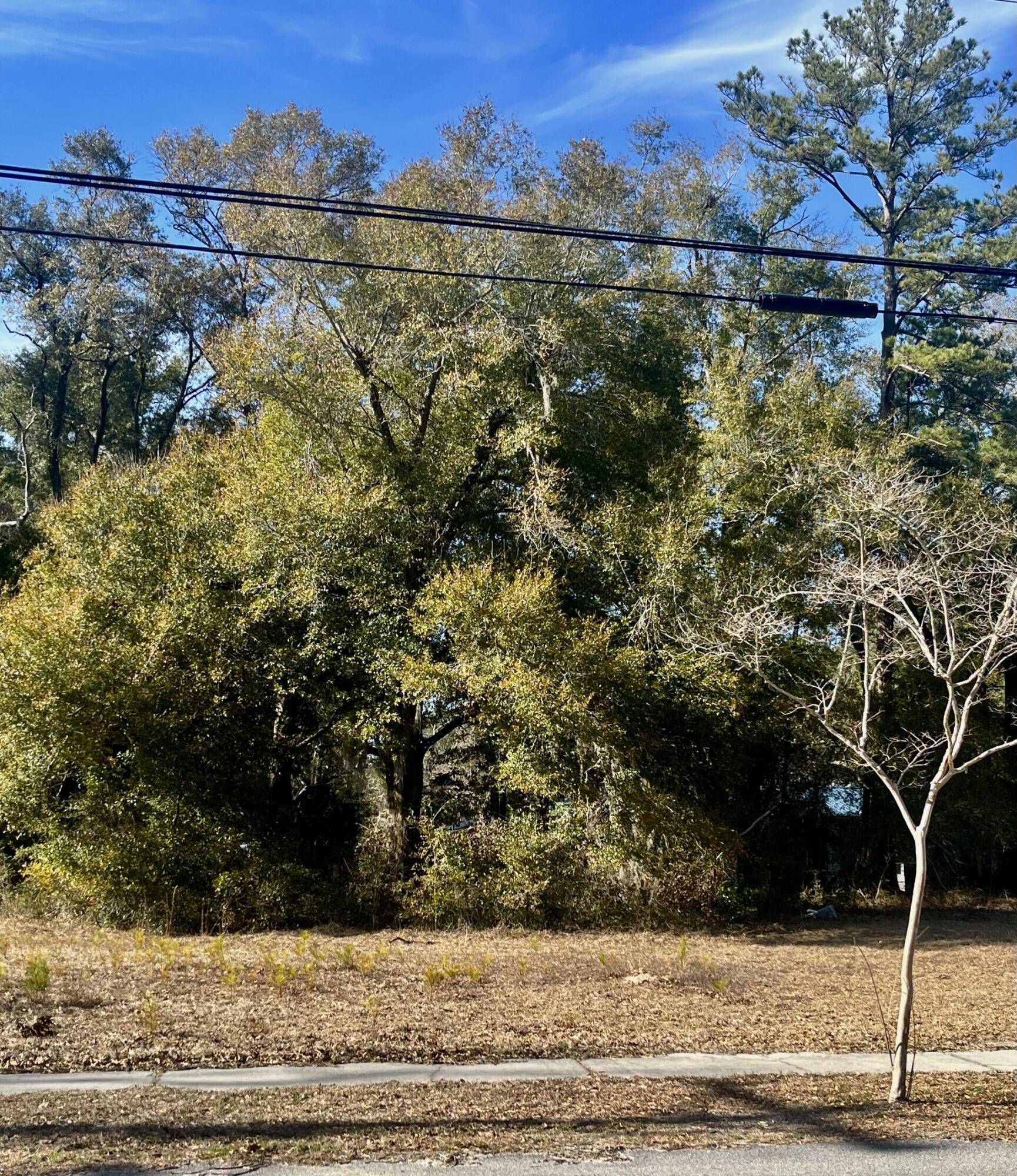 Walterboro, SC 29488,911 N Lemacks St