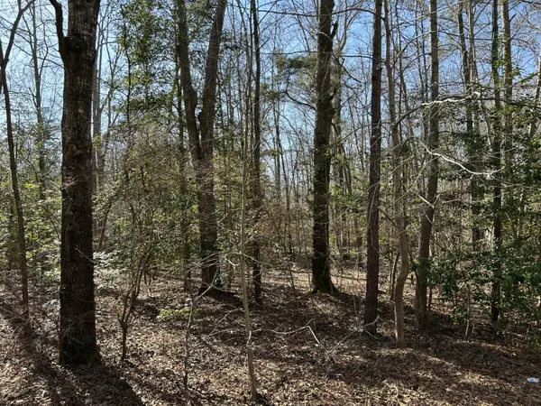 Cheraw, SC 29520,Lot 88 Coach Rd.