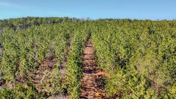 Batesburg-leesville, SC 29006,0 Wire Road