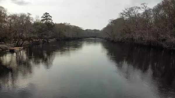 Cottageville, SC 29435,0 Pocket Ln