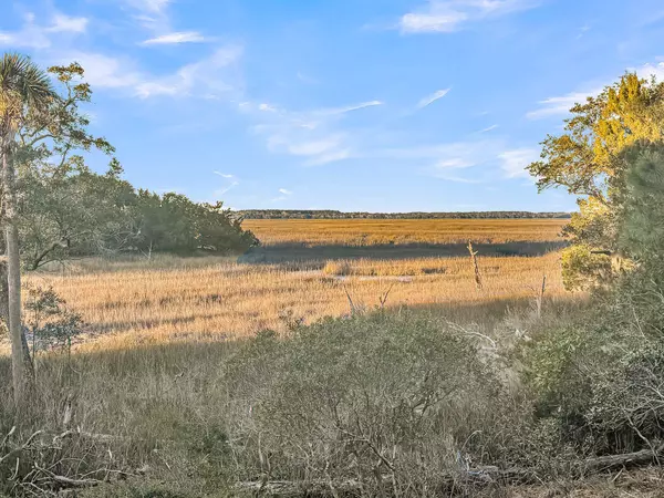 Kiawah Island, SC 29455,4 Cedar Waxwing Ct