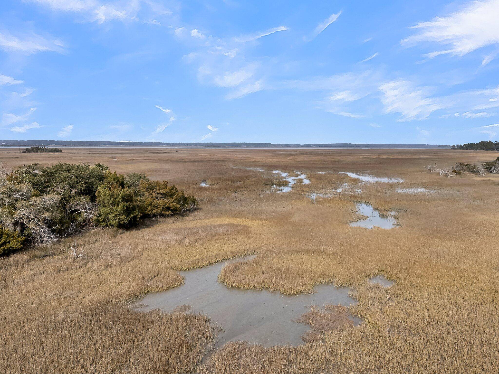 Kiawah Island, SC 29455,4 Cedar Waxwing Ct