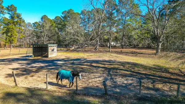 Saint George, SC 29477,120 Rancho Hippey Way