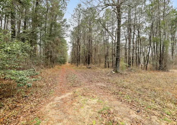 Saint Stephen, SC 29479,0 Santee River Rd