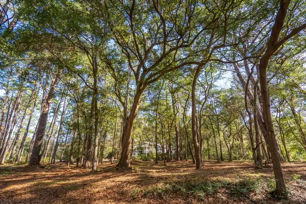 1 Foredeck Ln, Edisto Island, SC 29438