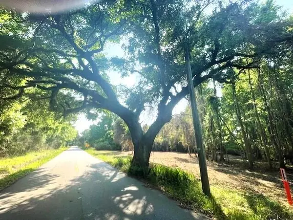 Mcclellanville, SC 29458,332 Dupre Rd