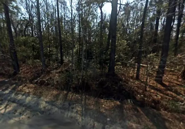 Manning, SC 29102,0 Copper Kettle Ln