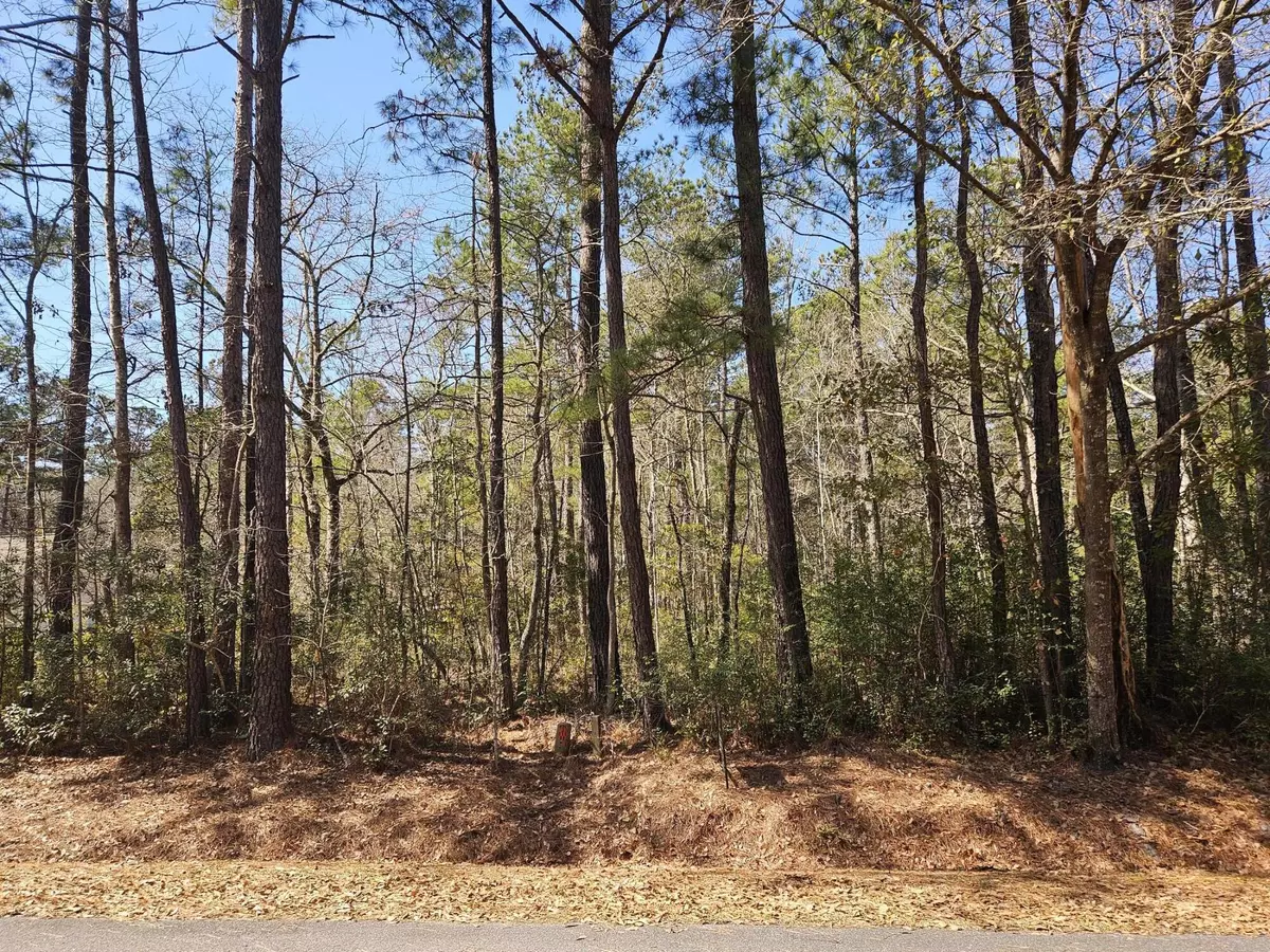 Georgetown, SC 29440,0 Brock St