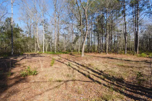 Cottageville, SC 29435,123 Muckenfus Rd