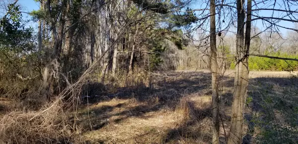 Cottageville, SC 29435,0 Wesley Grove Rd