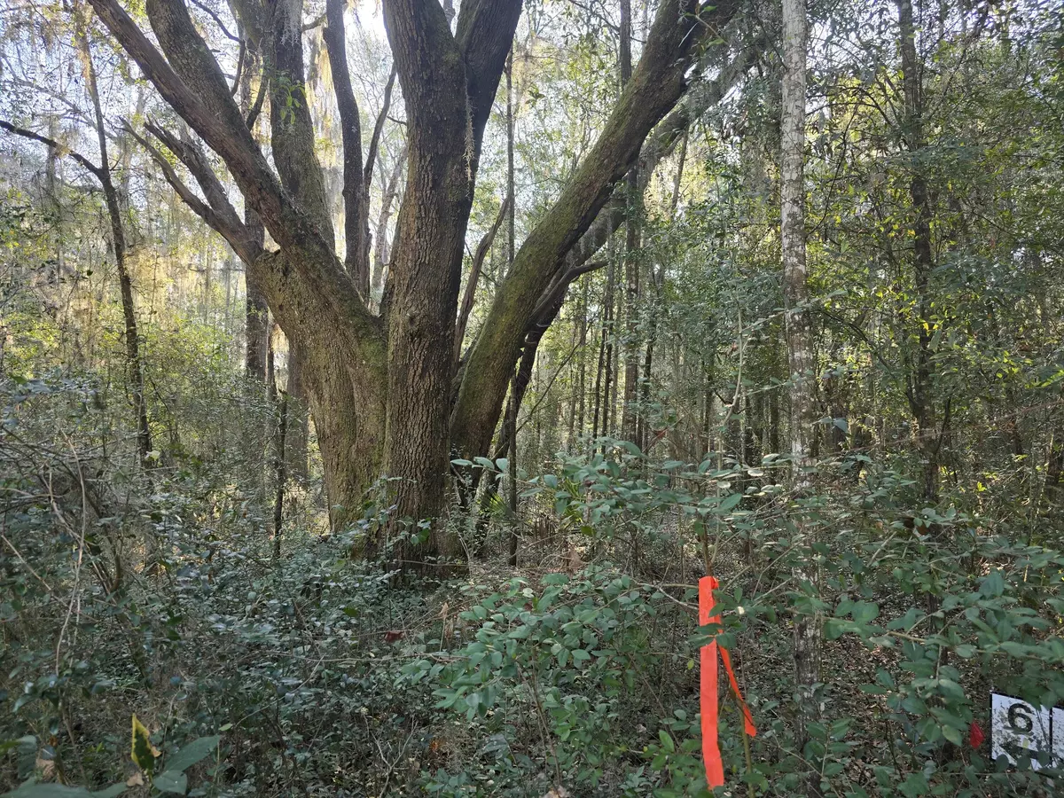 Edisto Island, SC 29438,7829 Louis Berrry Ln #Lot 6