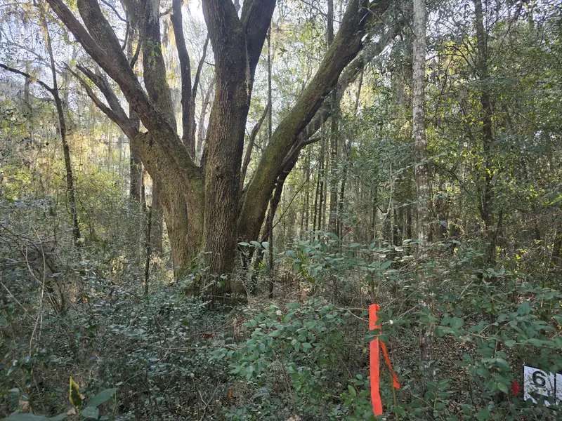 7829 Louis Berrry Ln #Lot 6, Edisto Island, SC 29438