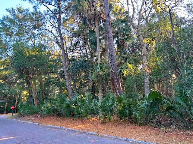 3137 Privateer Creek Rd, Seabrook Island, SC 29455
