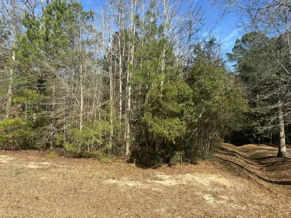 Moncks Corner, SC 29461,226 Spotted Owl Ln