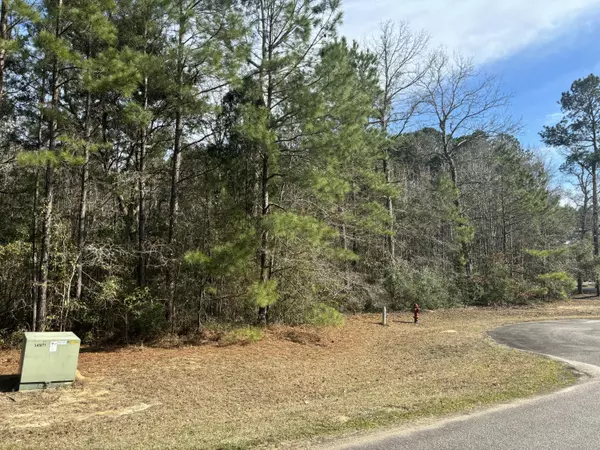 226 Spotted Owl Ln, Moncks Corner, SC 29461