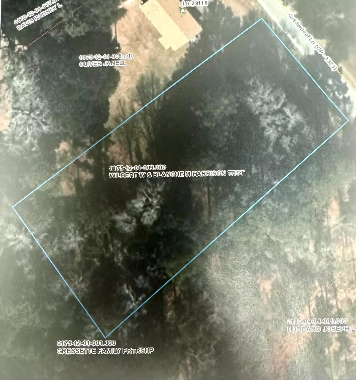 Orangeburg, SC 29118,146 Goldenleaf Ln