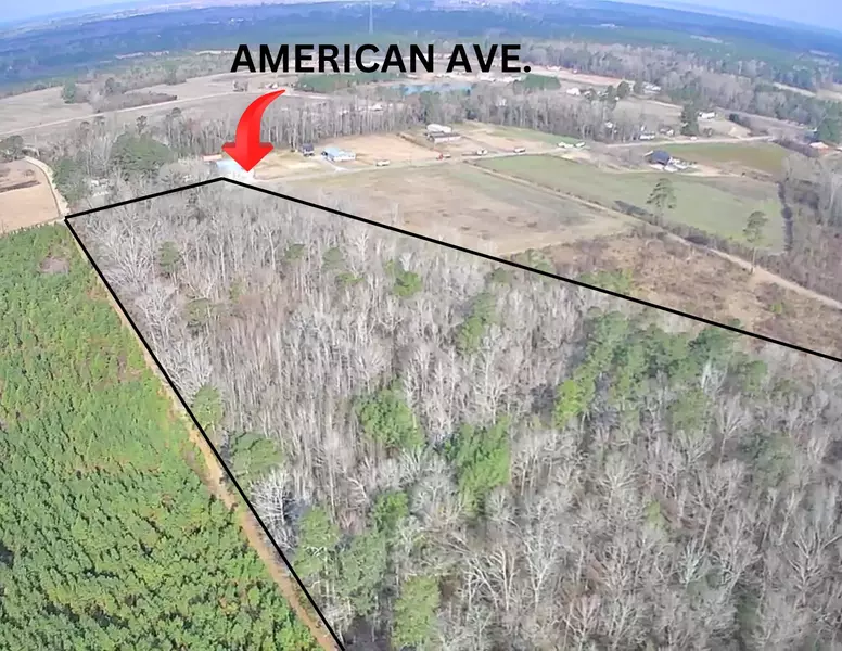 Tbd American Ave, Turbeville, SC 29162