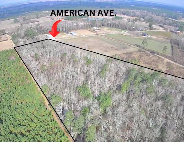 Tbd American Ave, Turbeville, SC 29162