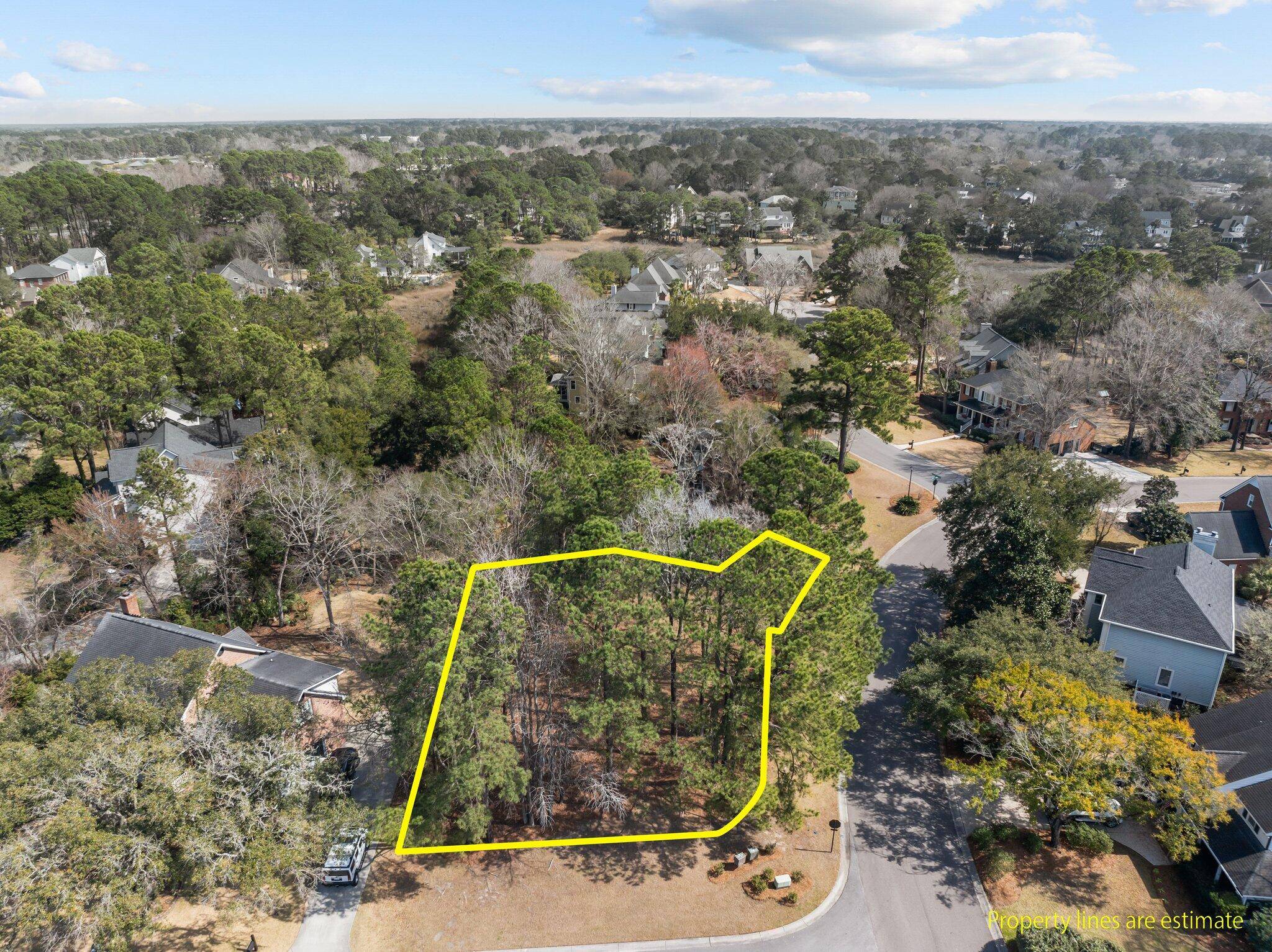 501 Chimney Bluff Dr, Mount Pleasant, SC 29464
