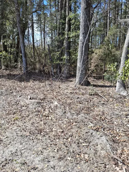 0 County Line Rd, Ravenel, SC 29470