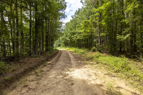 Summerton, SC 29148,0 Jasper Ln #Tract #5