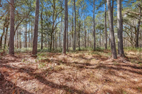 Mcclellanville, SC 29458,1010 Towhee Ln