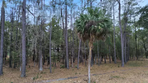 Daufuskie Island, SC 29915,19 Masters Ct