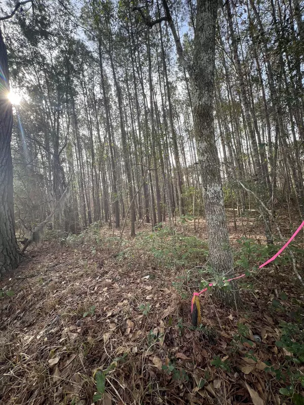 Adams Run, SC 29426,0 Ashe Brown Rd