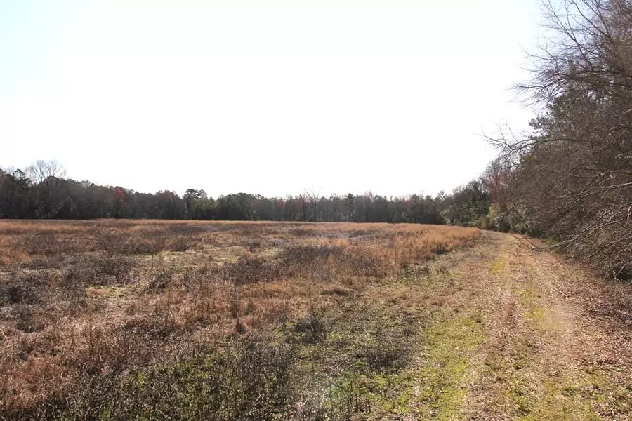 0 Corona Dr, Orangeburg, SC 29115