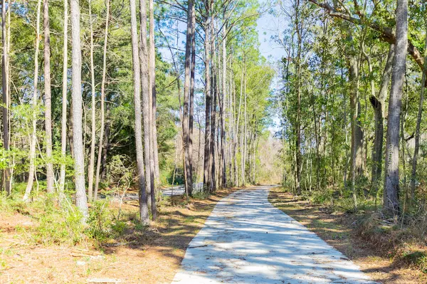 Johns Island, SC 29455,1717 Vireo Ct