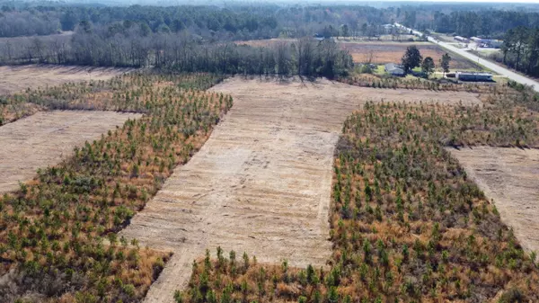 Cross, SC 29436,4 Hwy 6