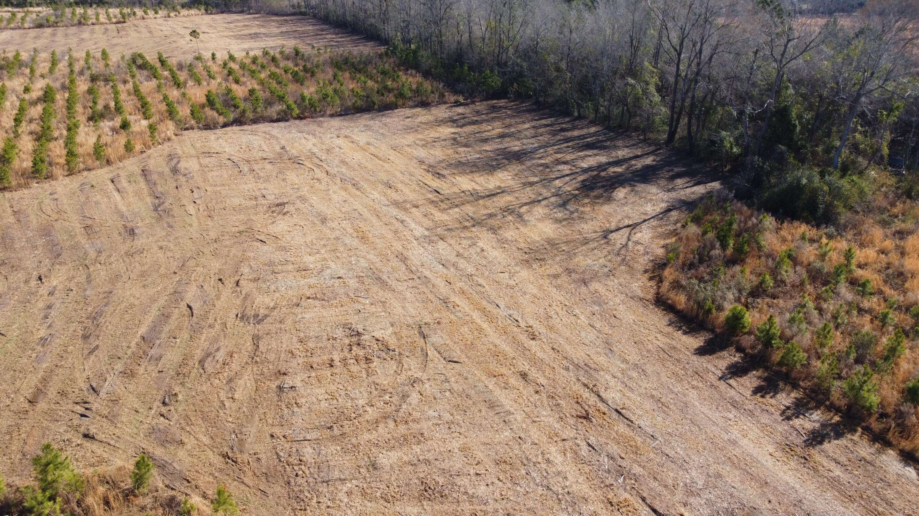 Cross, SC 29436,4 Hwy 6