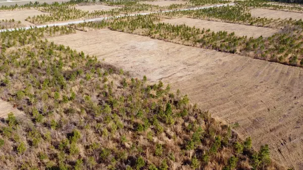 Cross, SC 29436,4 Hwy 6