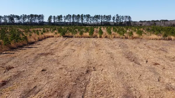 Cross, SC 29436,7 Hwy 6