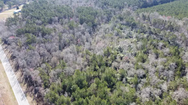 Pinopolis, SC 29469,0 Highway 6