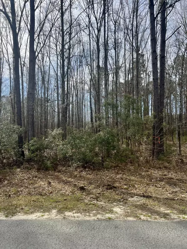 Yemassee, SC 29945,112 Founders Oak Way