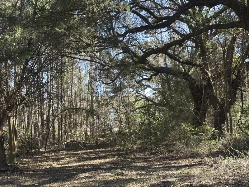 1641 Cuffy Ln, Charleston, SC 29412