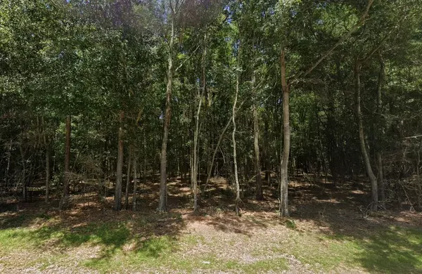 Summerton, SC 29148,0 Francis Marion Blvd