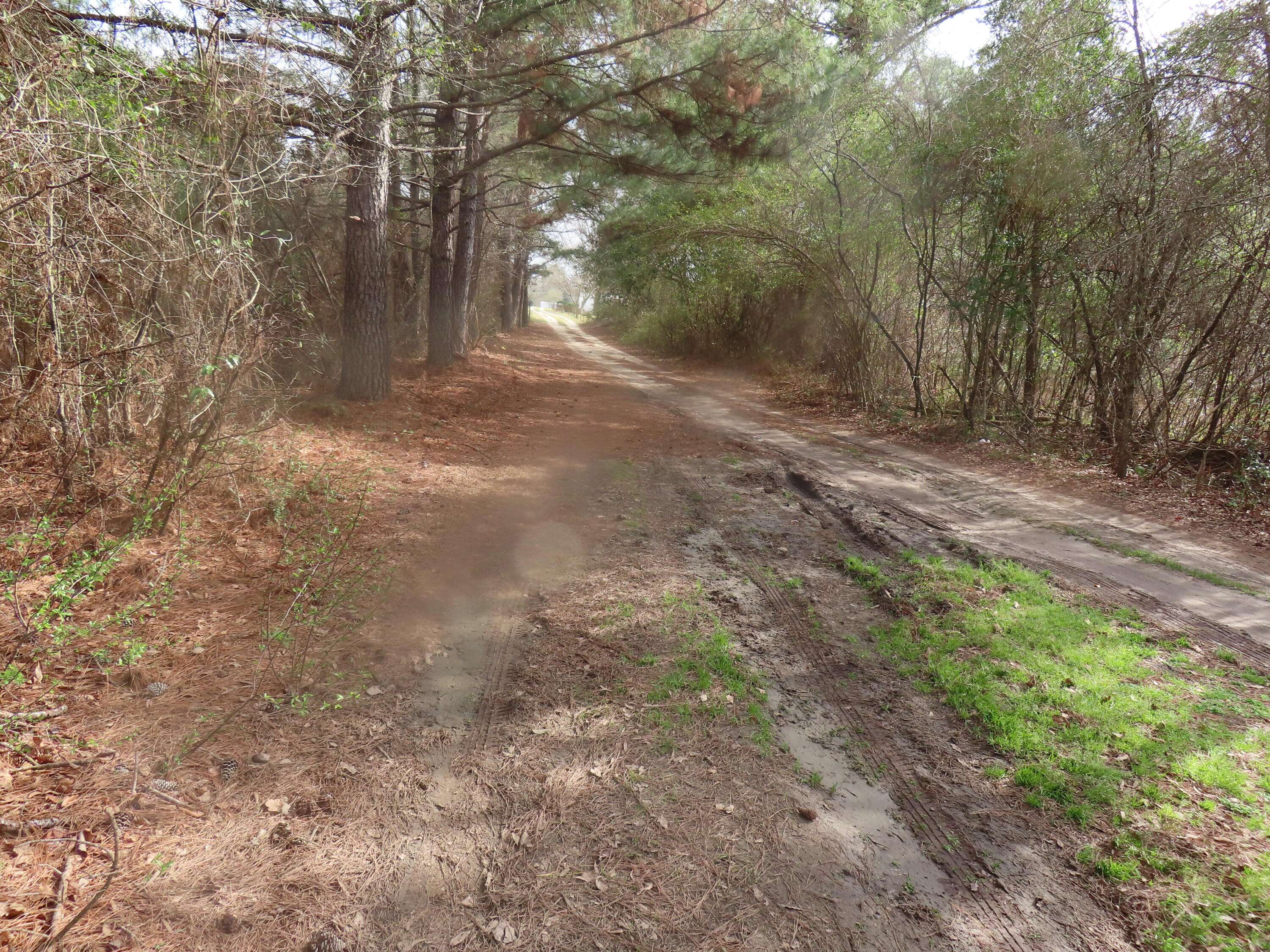 Eutawville, SC 29048,183 Oilers Dr