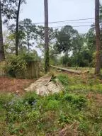 Summerville, SC 29485,105 Wanda Ave