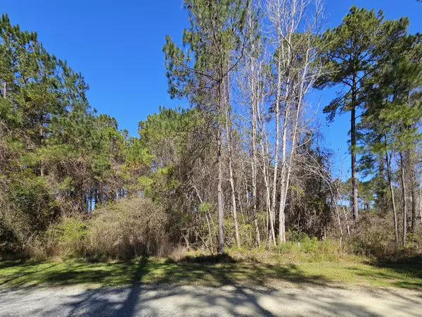 Mcclellanville, SC 29458,460 Beulah Dr