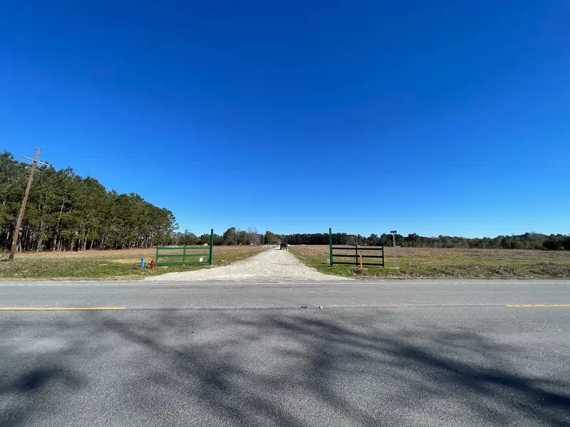 164 Rambling Ln, Cross, SC 29436