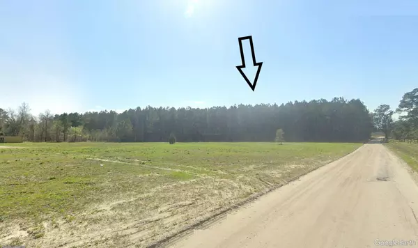 Eutawville, SC 29048,0 Bonanza Dr