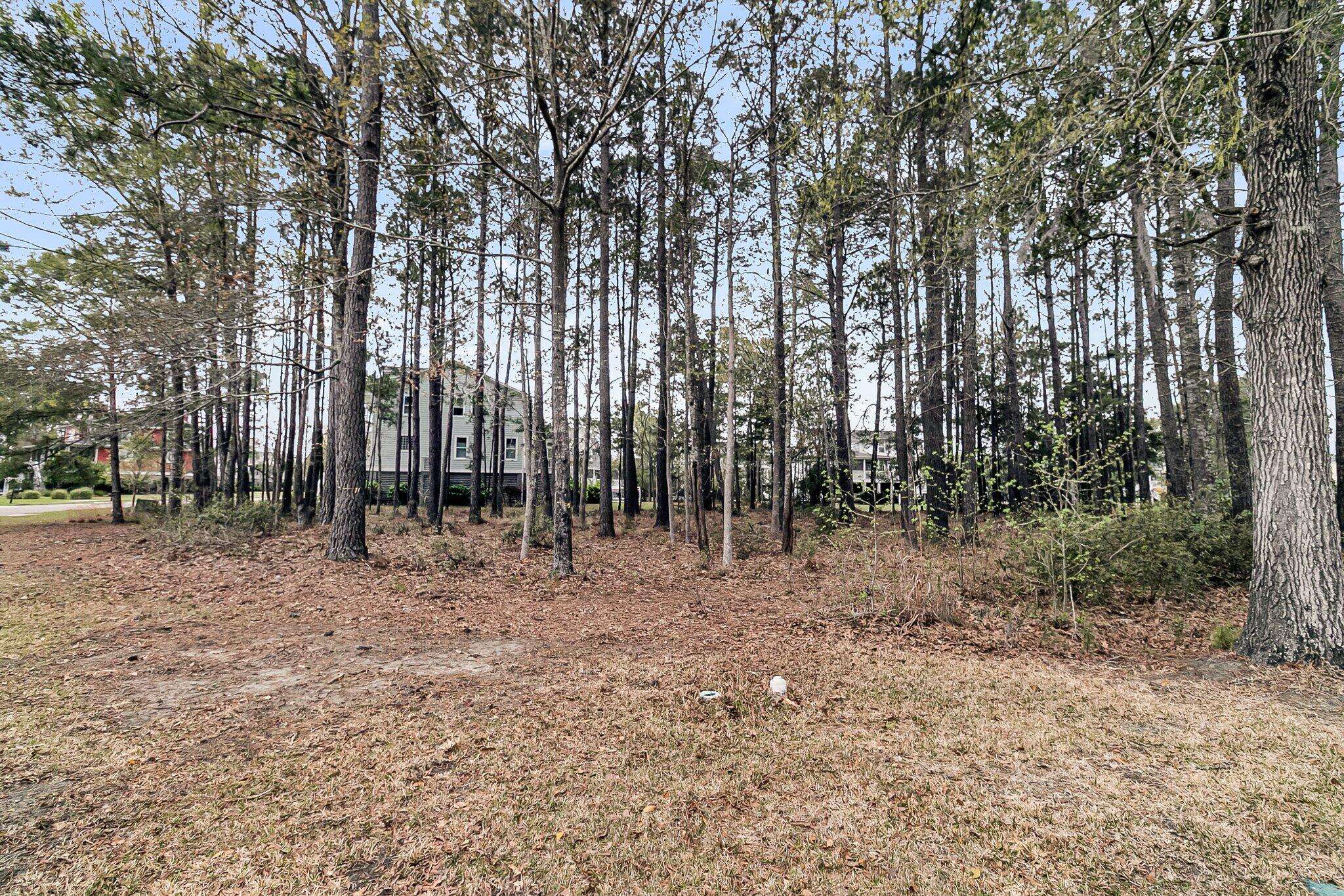 Mount Pleasant, SC 29466,1508 Rivertowne Country Club Dr