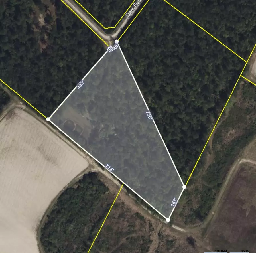 Andrews, SC 29510,0 Deer Run Ave