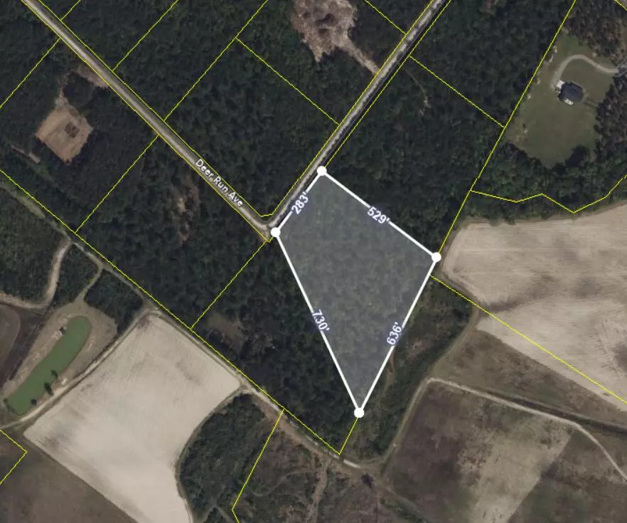 Andrews, SC 29510,0 Deer Run Ave