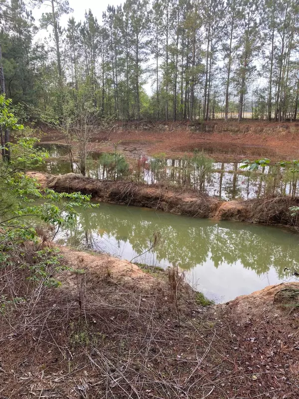 Andrews, SC 29510,0 Deer Run Ave