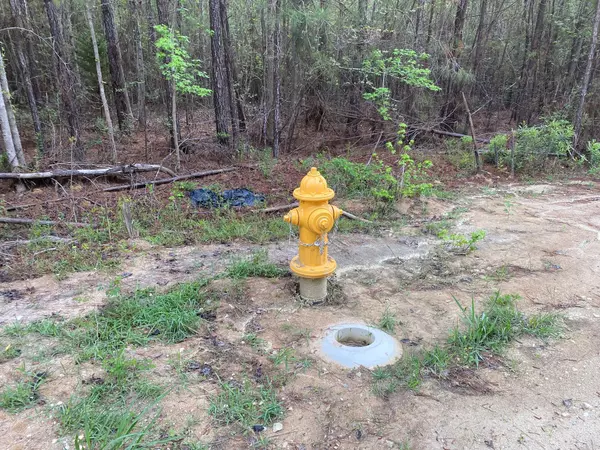 Andrews, SC 29510,0 Deer Run Ave