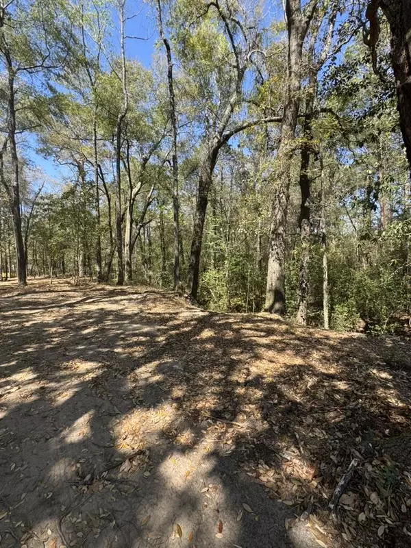 Walterboro, SC 29488,0 Klein St